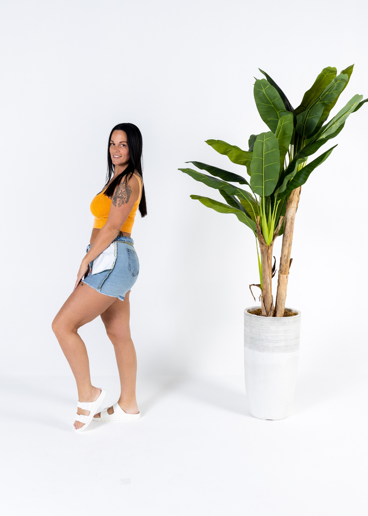 Tie Me Down Shorts