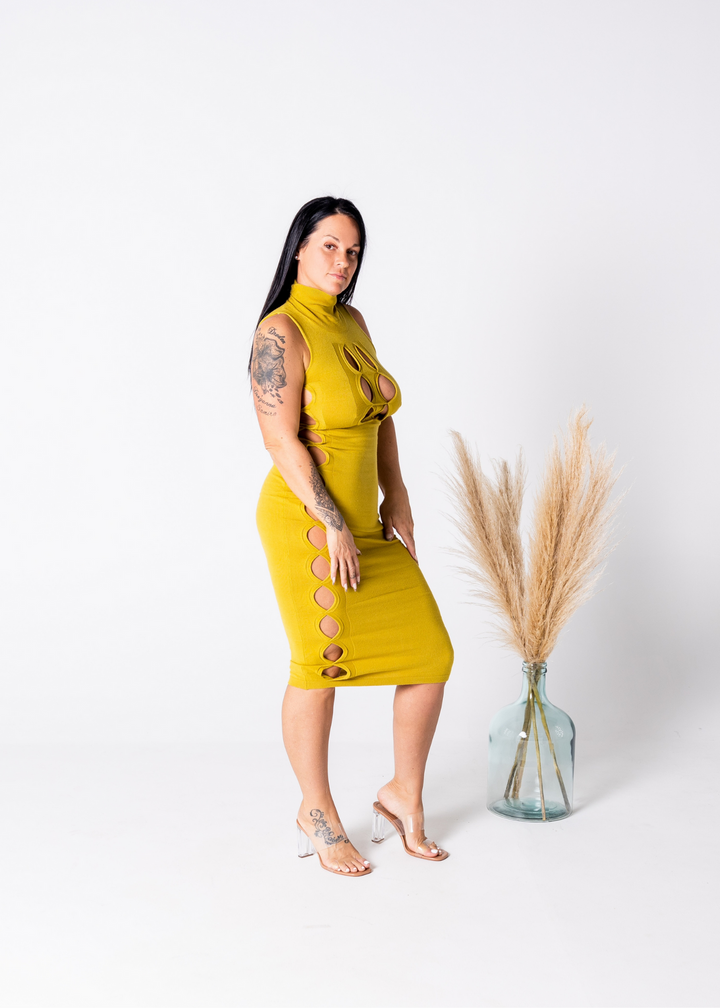 Seduce Em Dress
